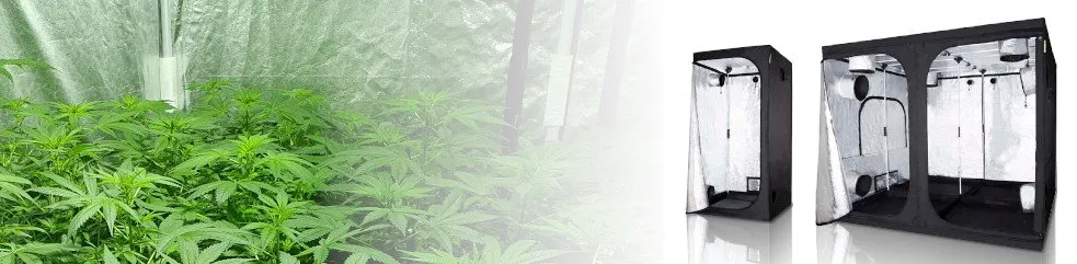 Armarios cultivo interior de marihuana