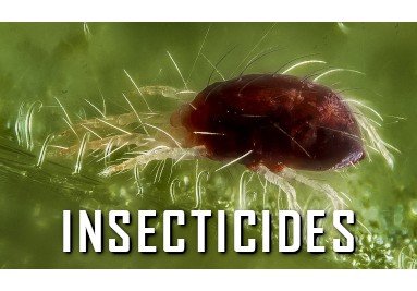 insecticides i fungicides